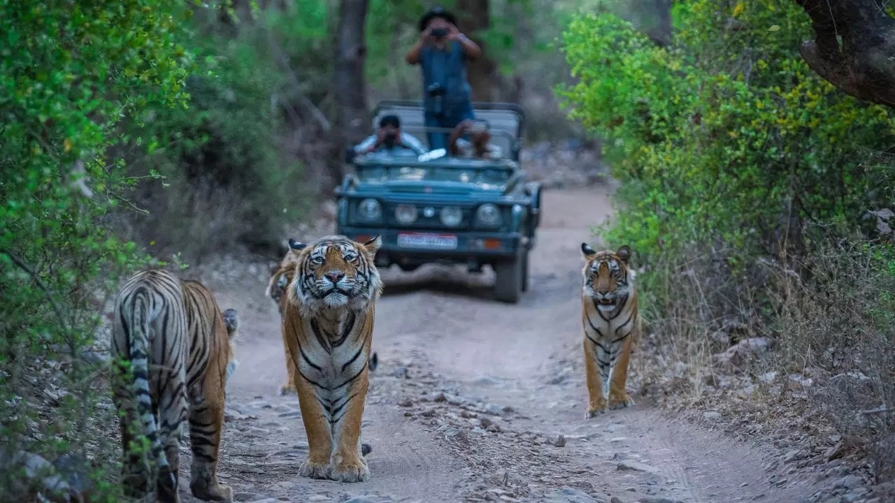 Day-01 . New Delhi | Jim Corbett { 250Kms & 5 Hrs}