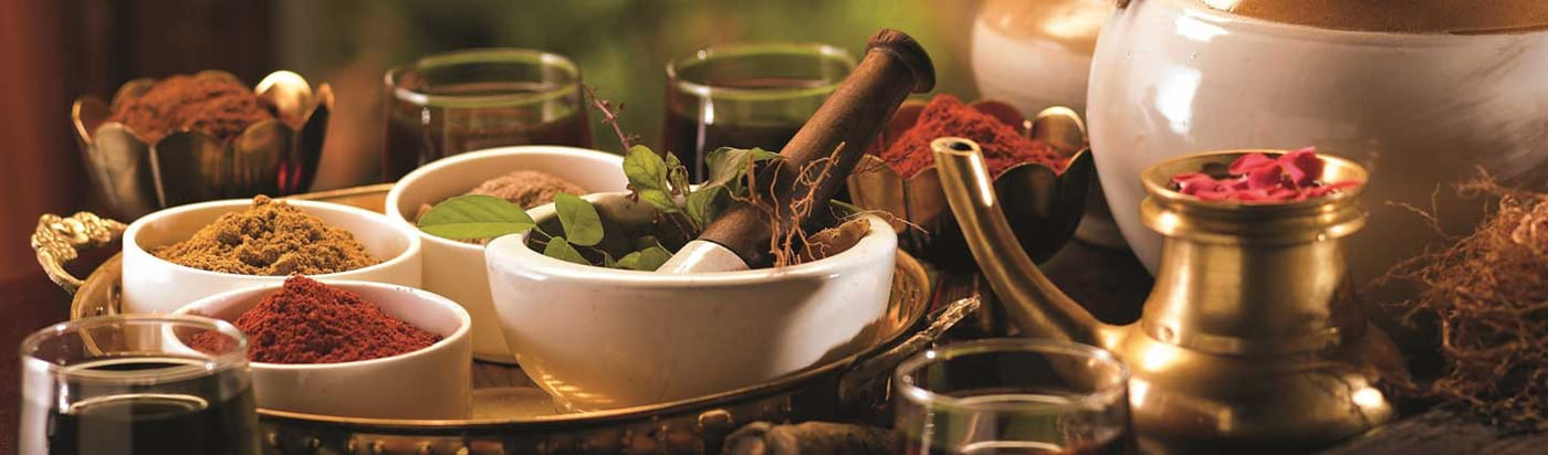 Ayurvedic Tours