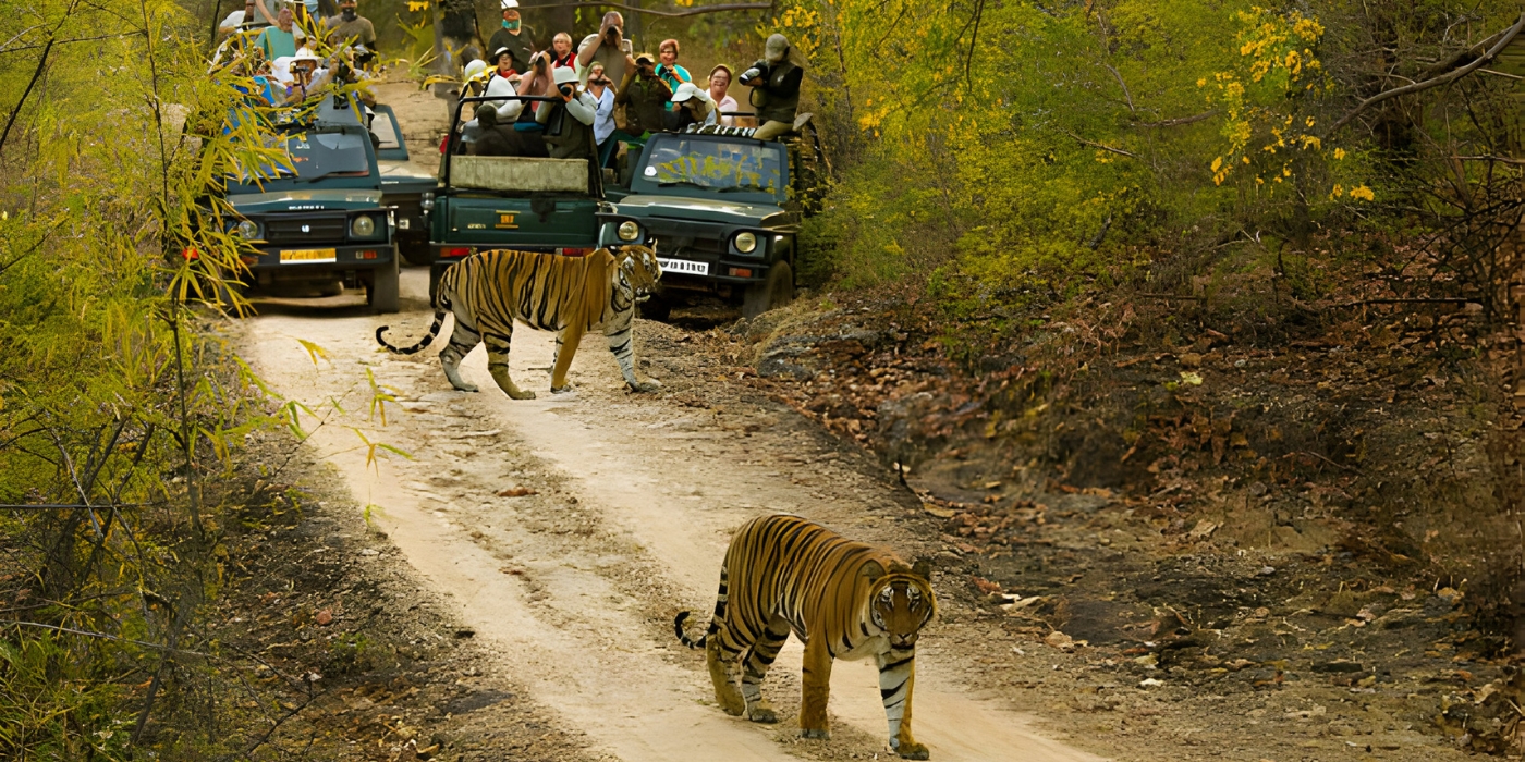 Bandhavgarh